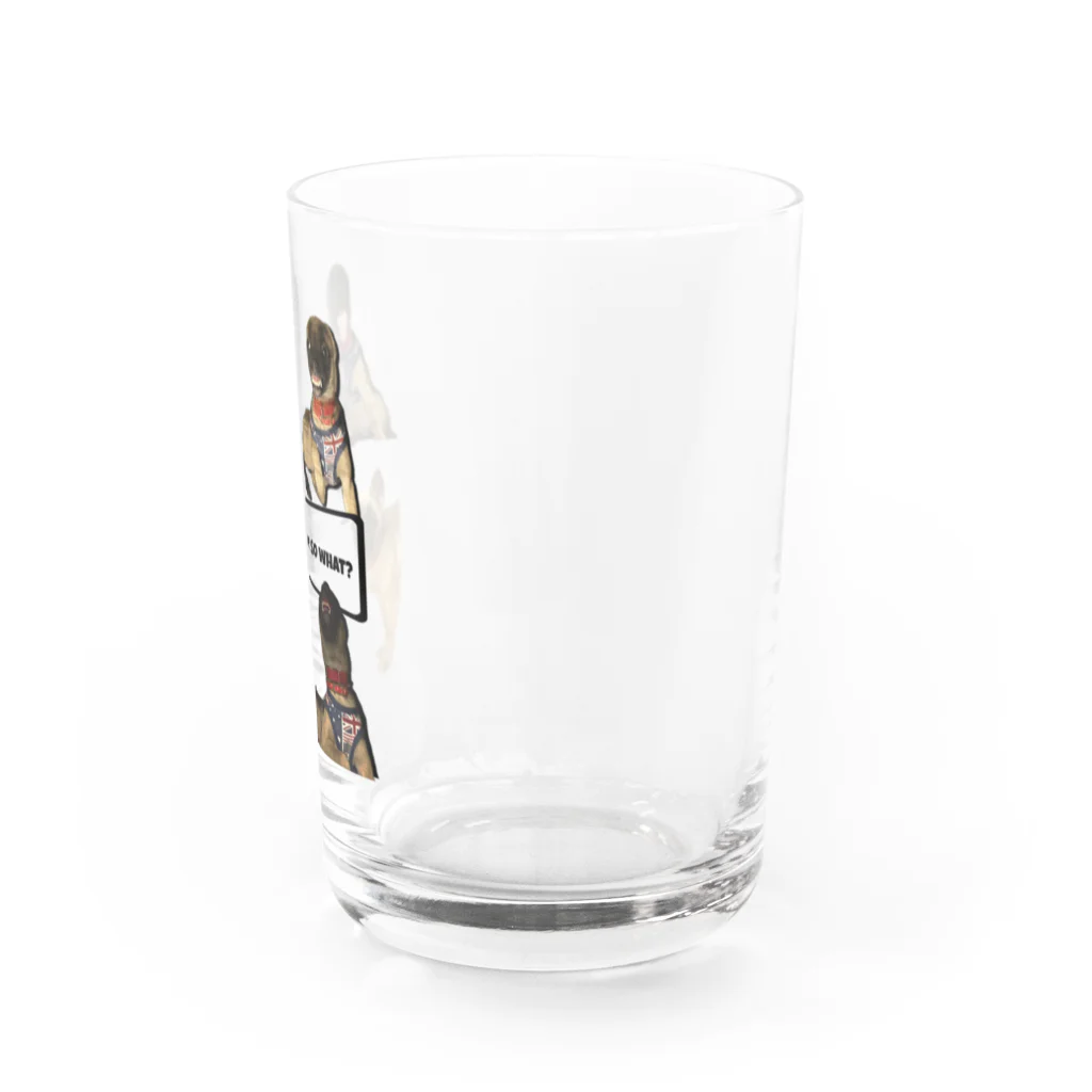 毛玉のおうちチャリティーグッズ販売suzuri部のIT'S me. SO WHAT? Water Glass :right