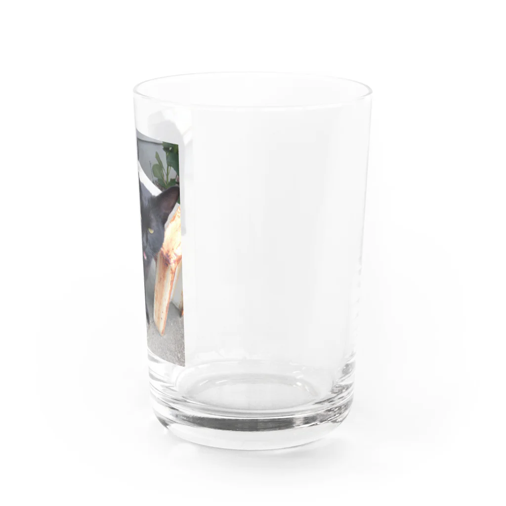 nightwalkerの黒ひょうぜッッ！ Water Glass :right