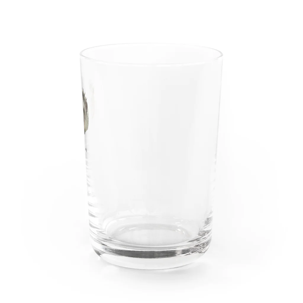 HarieのPeroPero Water Glass :right