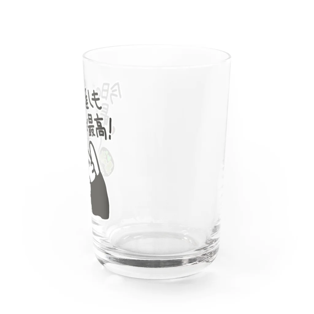 ミナミコアリクイ【のの】の最の高！【ミナミコアリクイ】 Water Glass :right