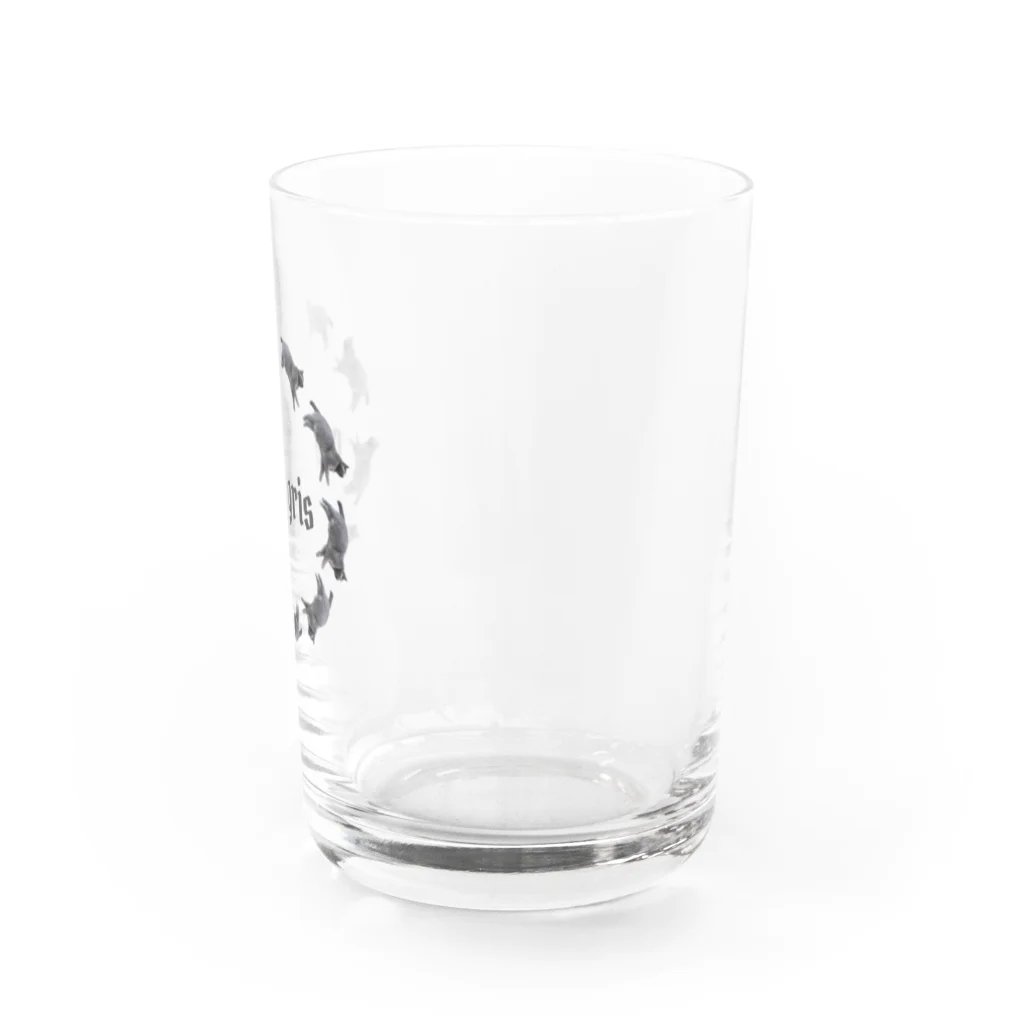 conception koharu.のchatgris Water Glass :right