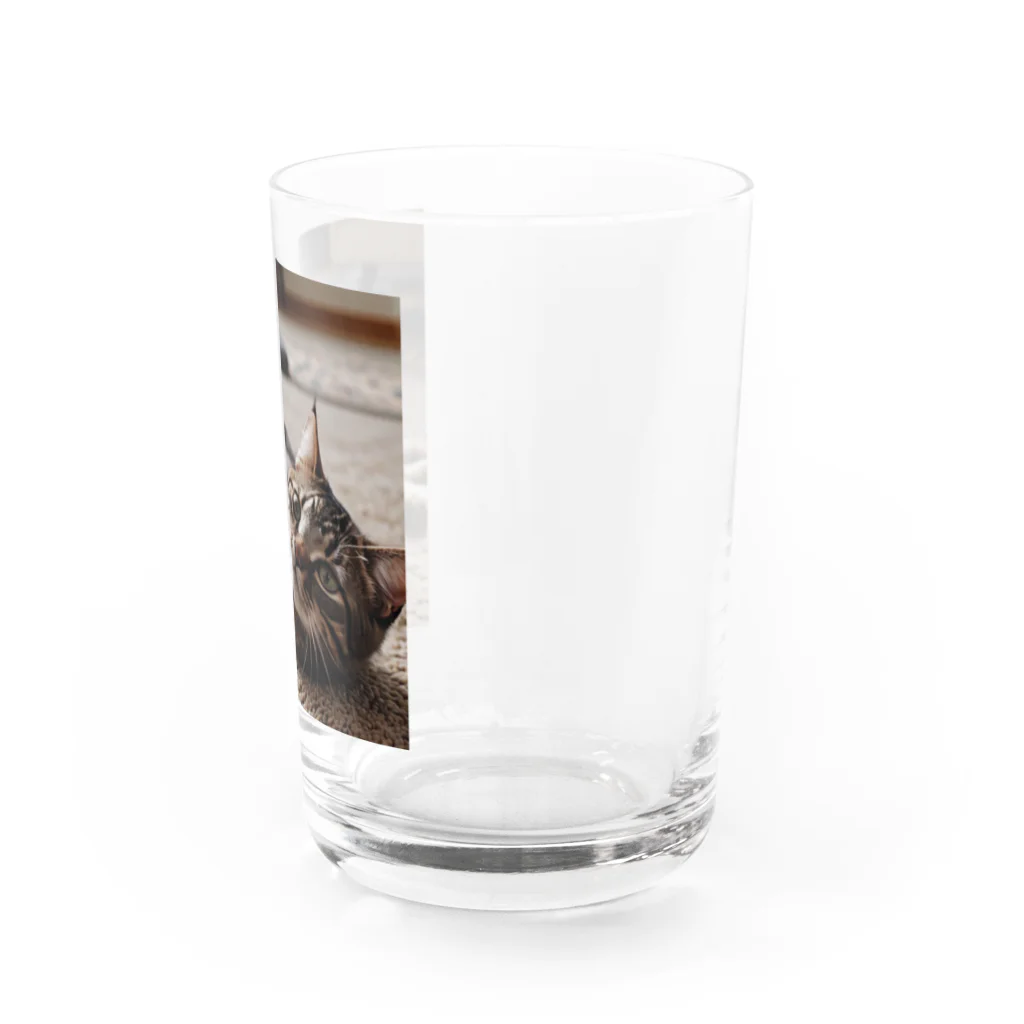 zigerparkの寝転ぶ猫 Water Glass :right