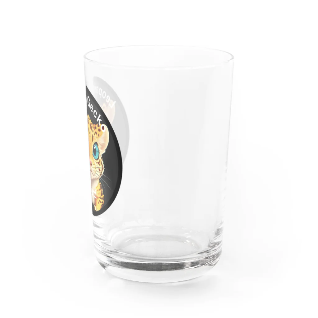 なまけもののLeopard Gecko（ヒョウモントカゲモドキ） Water Glass :right