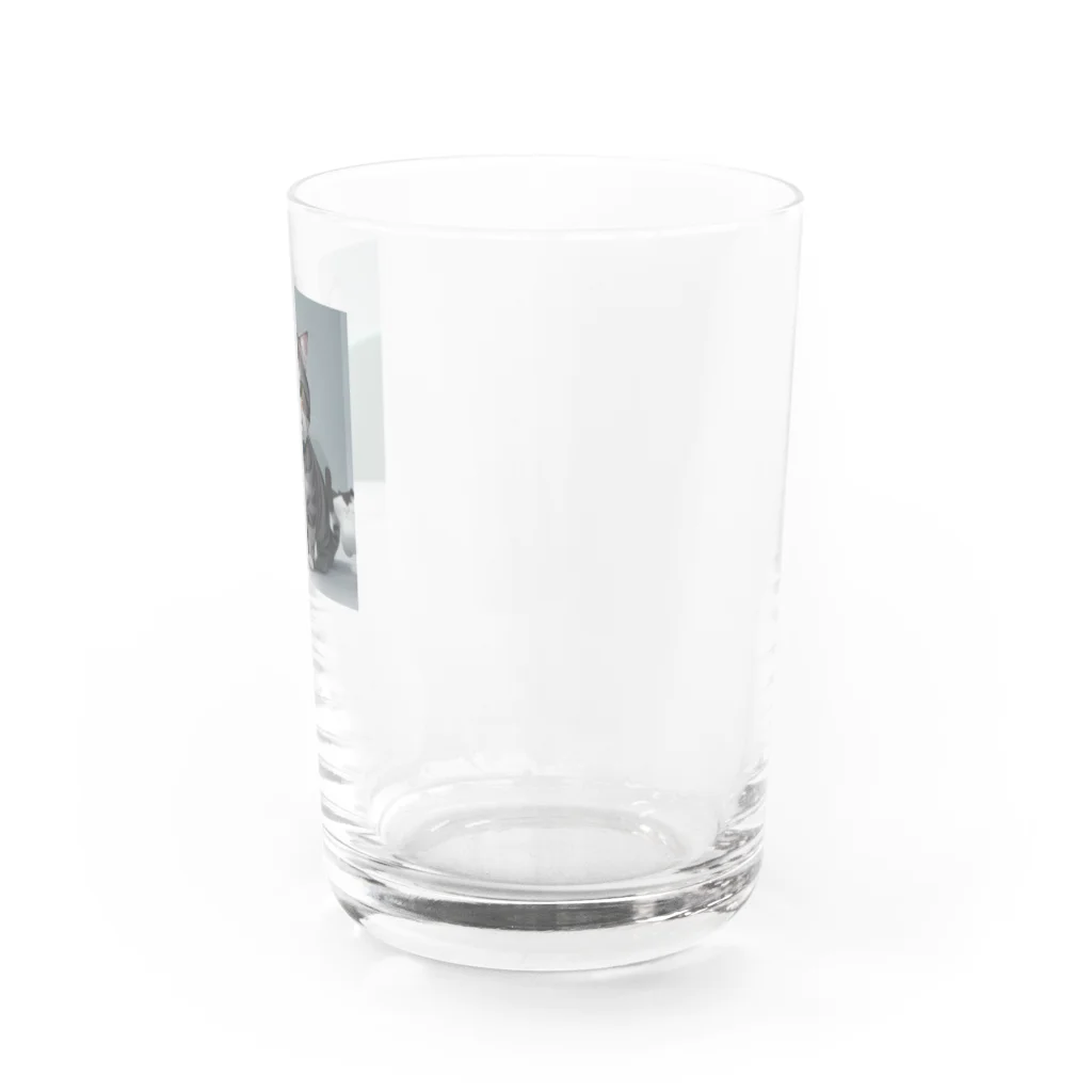 碧月の猫 Water Glass :right