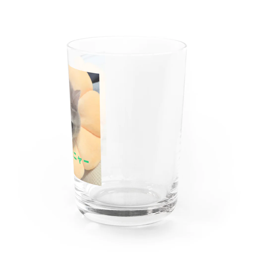 KONEKO_NEKOのありがとニャンコ Water Glass :right