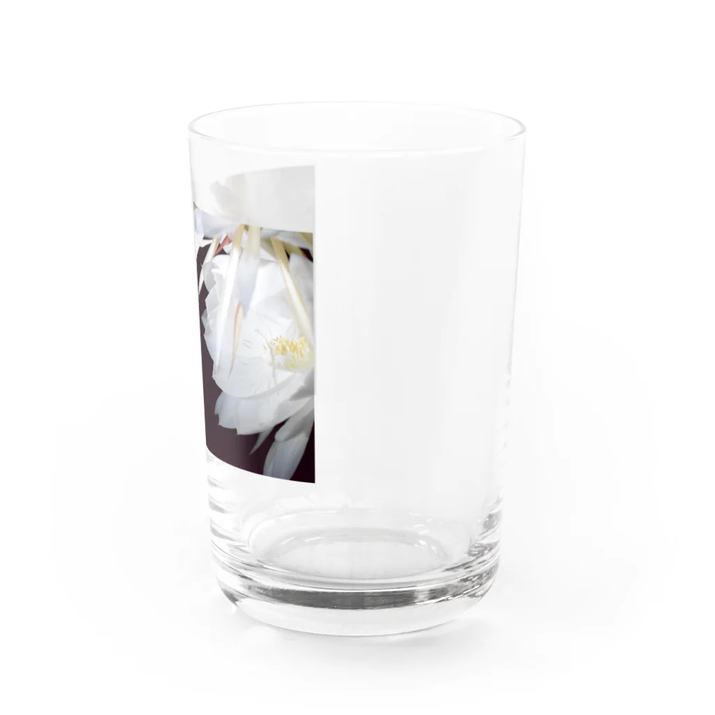 nuan.のげっかびじん Water Glass :right