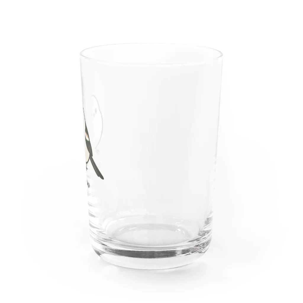 もふもふエナガ堂のもふもふシマエナガTシャツ｜癒し系どうぶつデザイン Water Glass :right