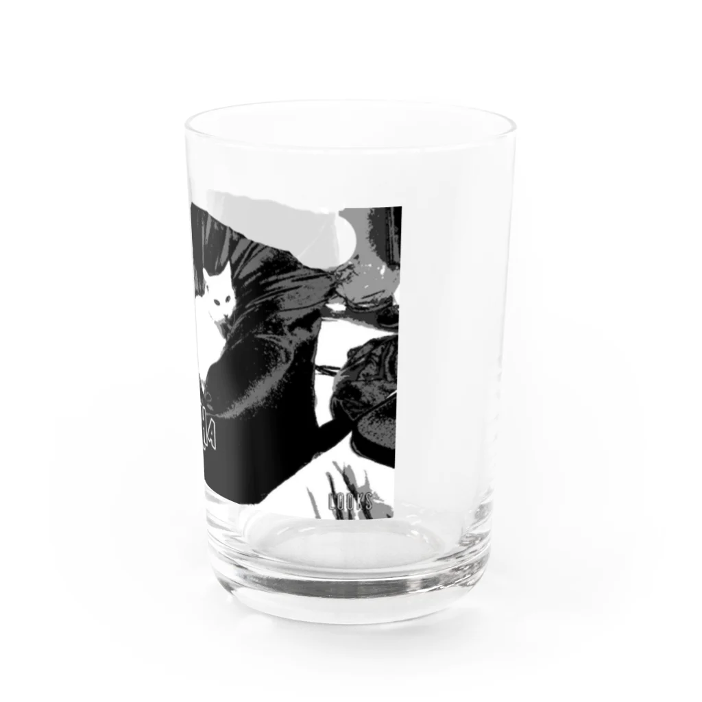 LUIS buleの猫のいるヤクザ事務所 Water Glass :right