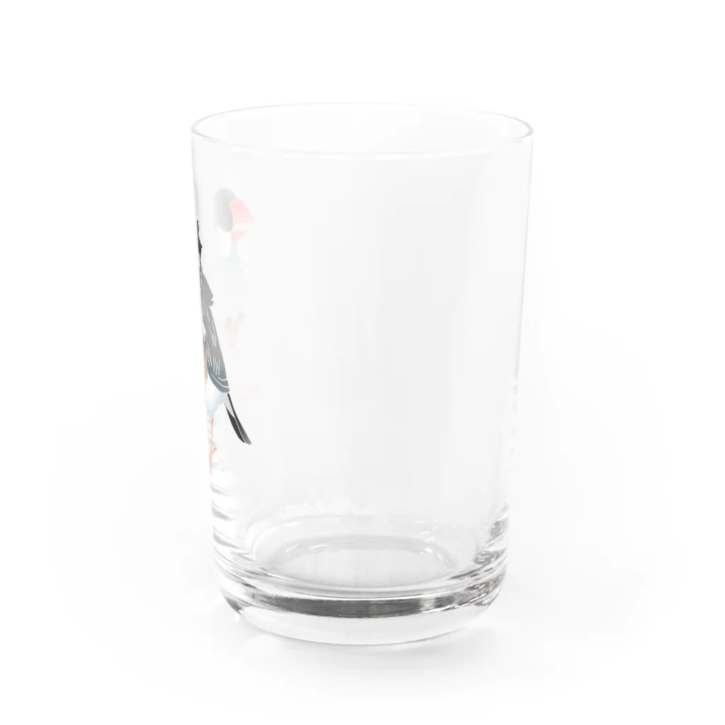 福みみチュンの濡れ文鳥 Water Glass :right