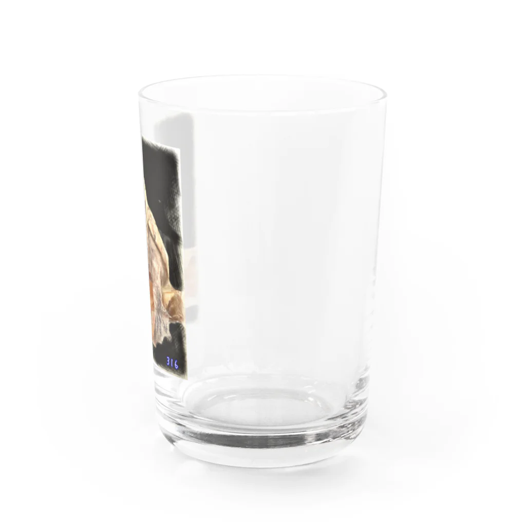 316(MIHIRO)のミシニのひとやすみ Water Glass :right