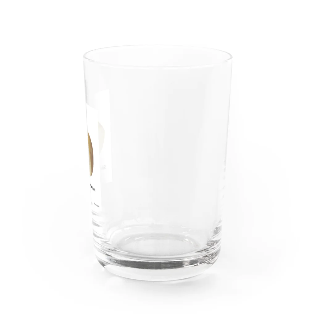 須沢 晴菜のじゃがいも(カット) Water Glass :right