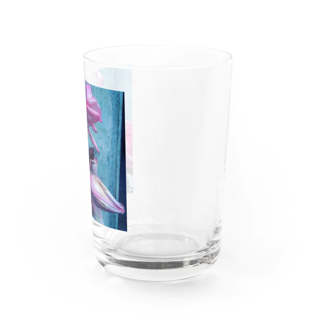 8216vividの薔薇 Water Glass :right