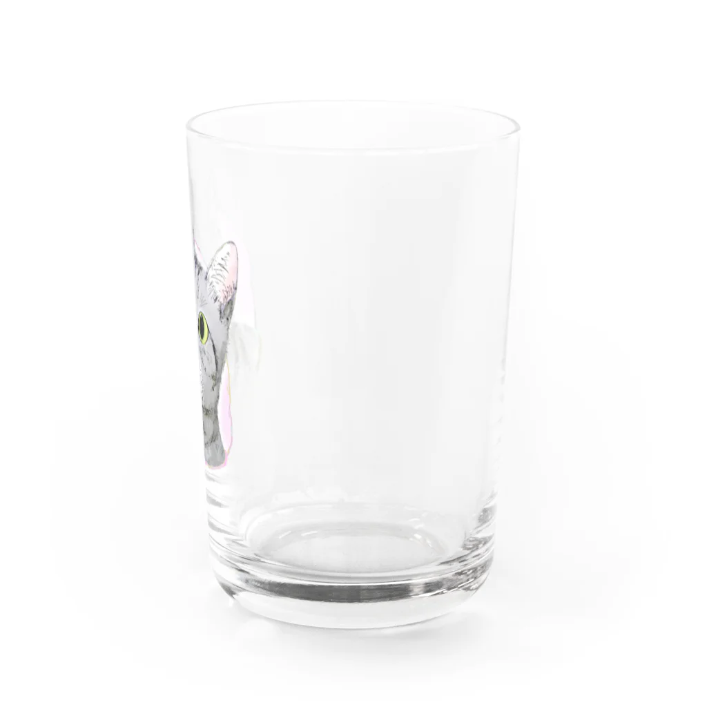 2gawaのねこさん Water Glass :right