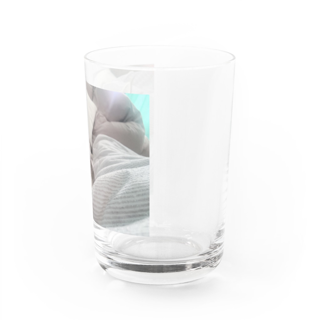 rikkyo_lgbtnizaのねこ Water Glass :right