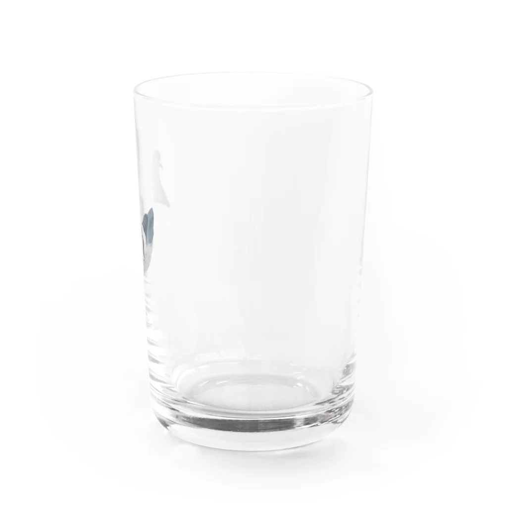 nebulianの鳩のグッズ Water Glass :right