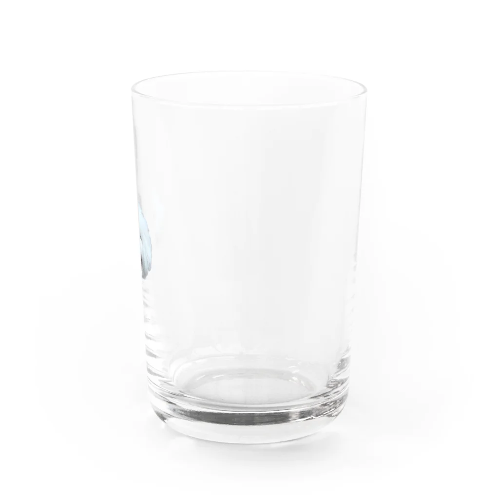 プーたまのにっこり犬 Water Glass :right