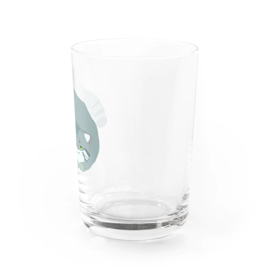 ちゃこぺん（SUZURI店）のマヌルネコさん Water Glass :right