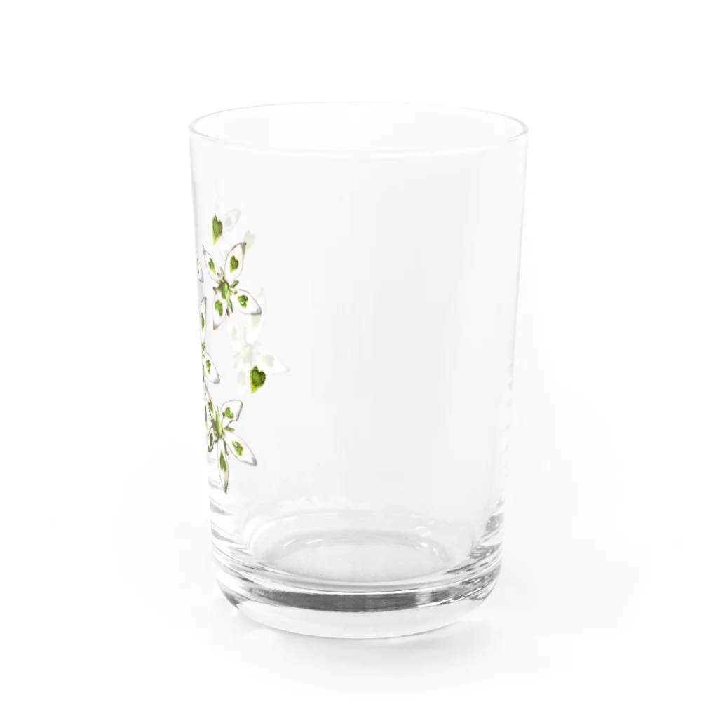 かわず屋のヘツカリンドウ Water Glass :right