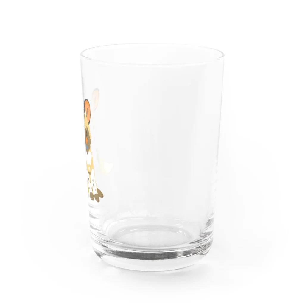 ちゃこぺん（SUZURI店）のリカオン Water Glass :right