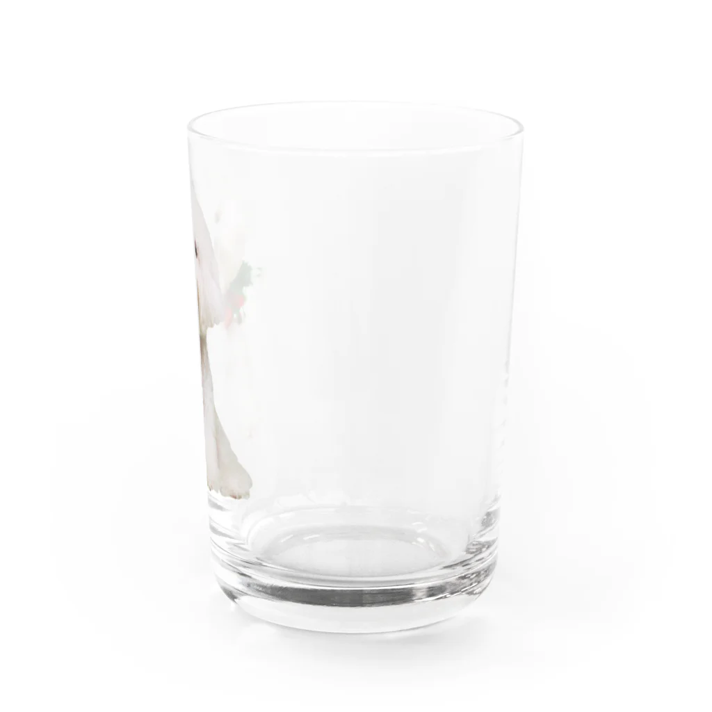 parkmansionのma01 Water Glass :right