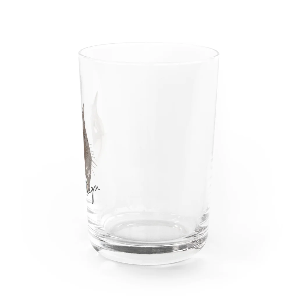 kanako-mikanのデグーのチョビ Water Glass :right