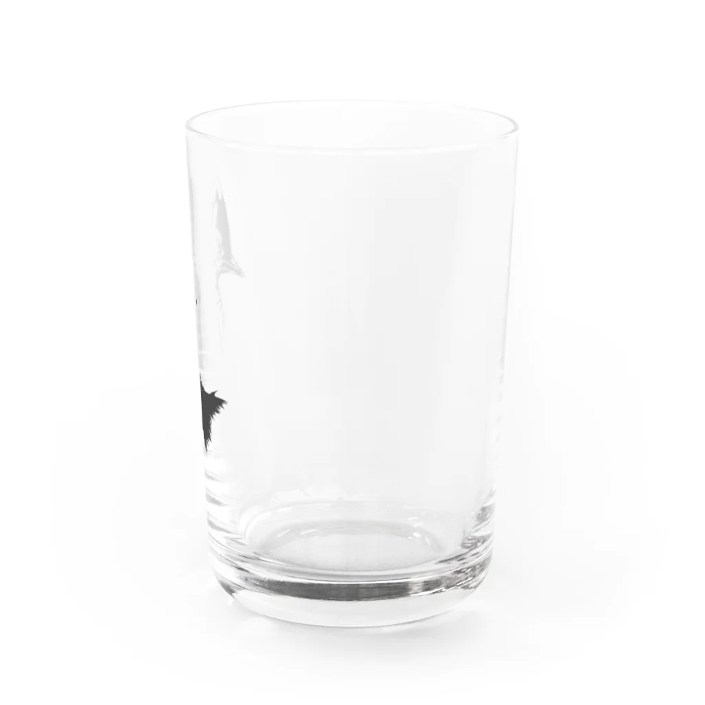 Poooompadoooourのヒクイドリ Water Glass :right