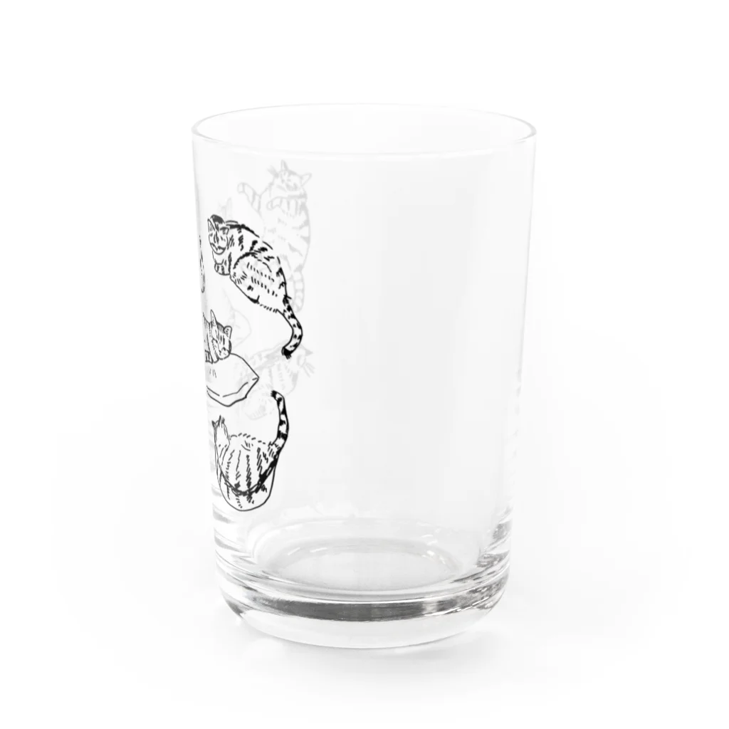 ぼんのぼんのよもぎが6ぴき Water Glass :right