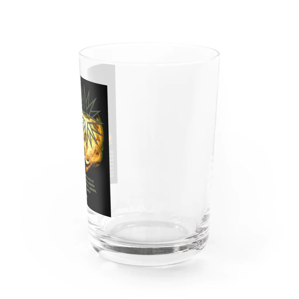 LUNARHOLIC STOREの[大友窯SkullxBASARACRACY]#04「聖書」 Water Glass :right