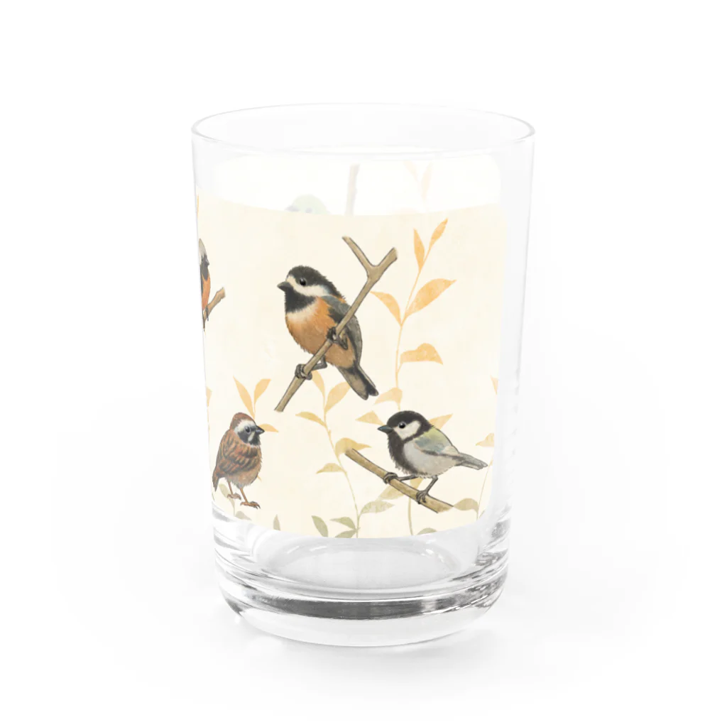 TeaDrop.Cの野鳥 Water Glass :right