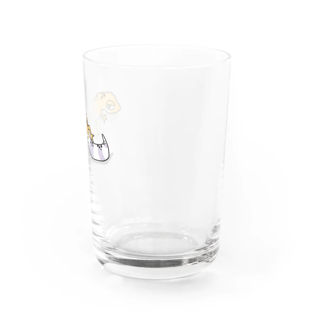 CUBIC ITEMのいよかん Water Glass :right