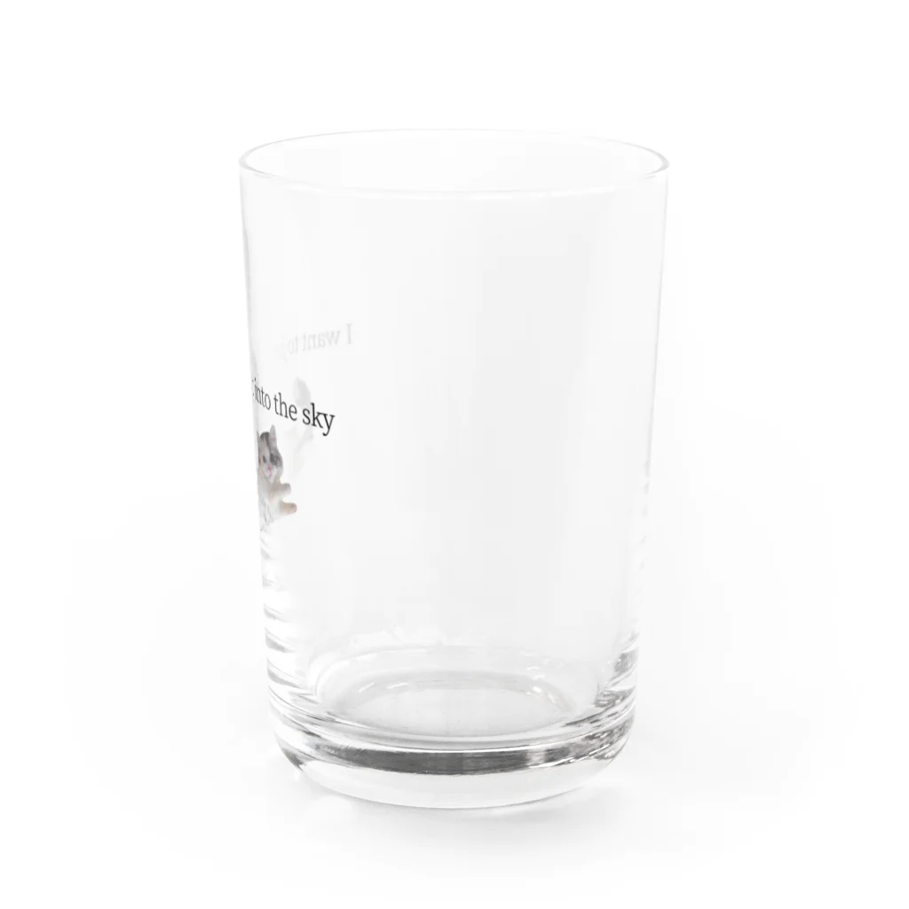 おもち屋さんの猫も飛べるはず Water Glass :right