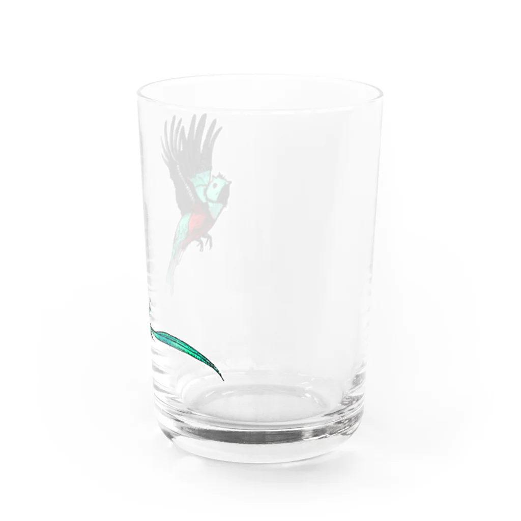 ぺちぺち工房 Pechi Pechi Atelierの世界一美しい鳥 ケツァール Water Glass :right