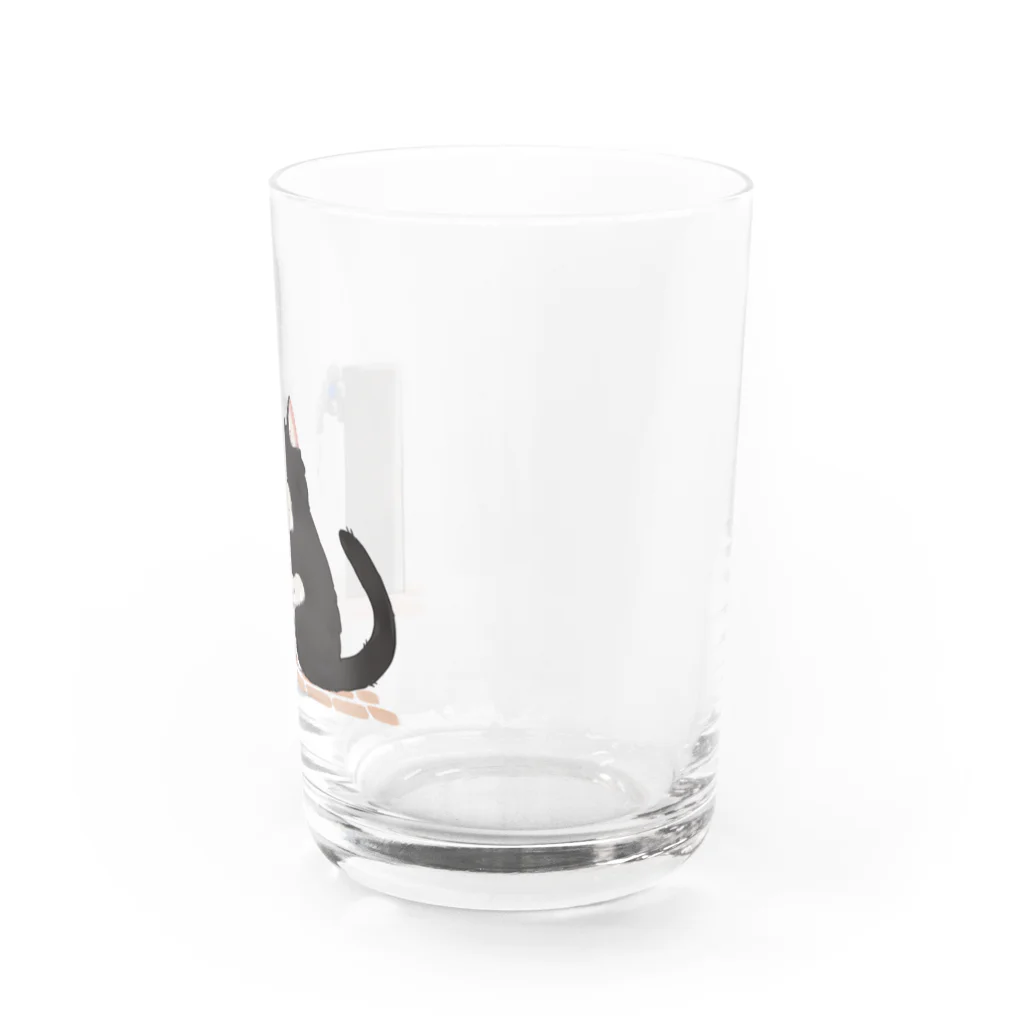 #保護猫カフェひだまり号の手洗い猫 Water Glass :right