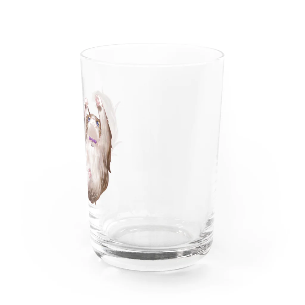 #保護猫カフェひだまり号の愛猫❣️ましろモチーフ Water Glass :right