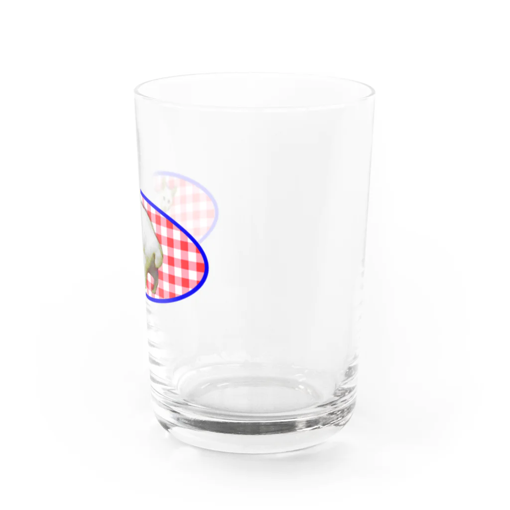 ねこだいすきばばあのGINGAM NEKO Water Glass :right