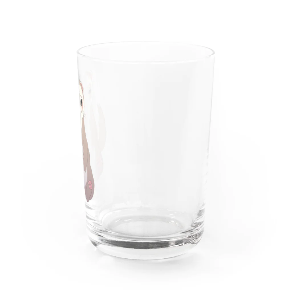 まめまま（フェレット）のフェレットシャンペン Water Glass :right