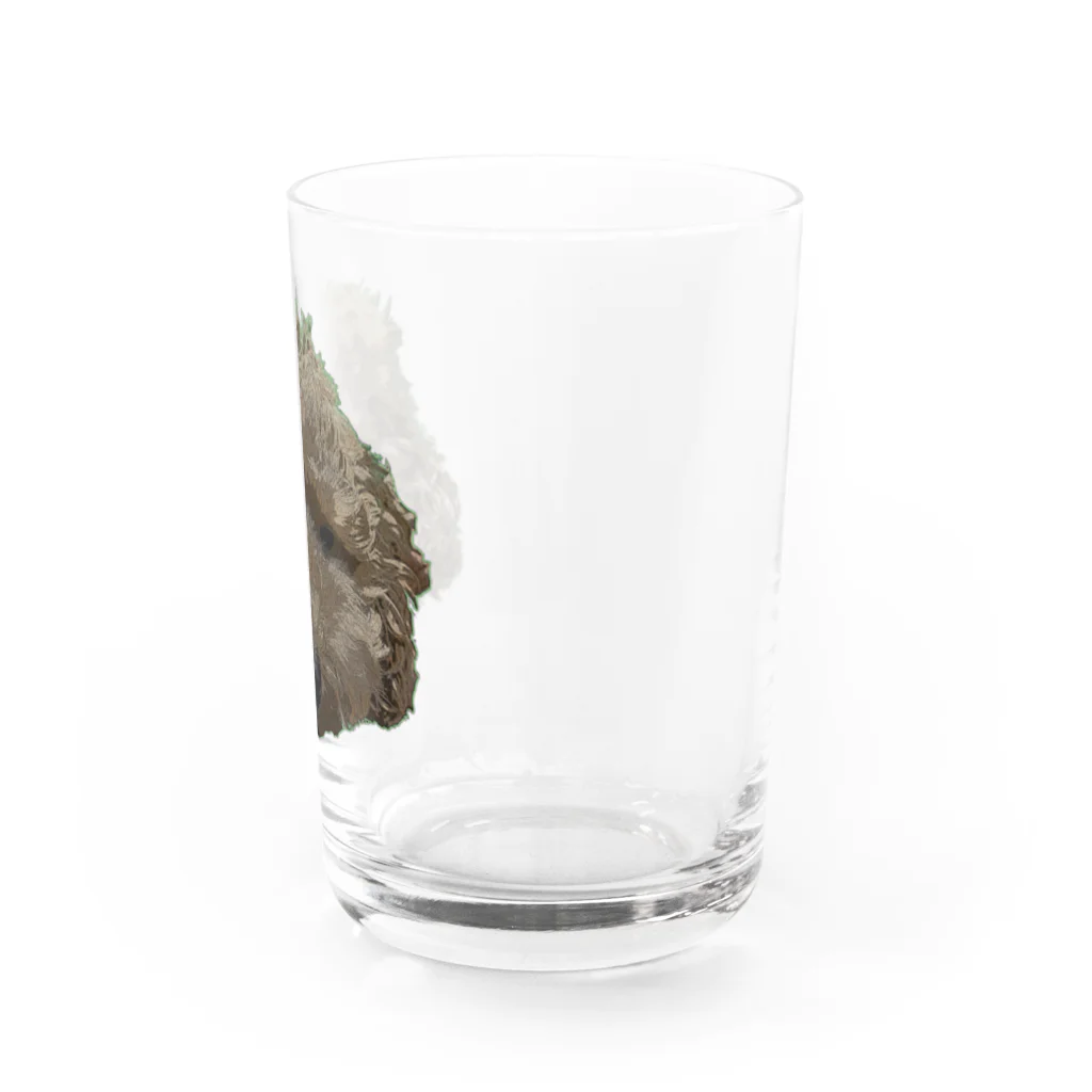 NORITAMAのトイプードル Water Glass :right