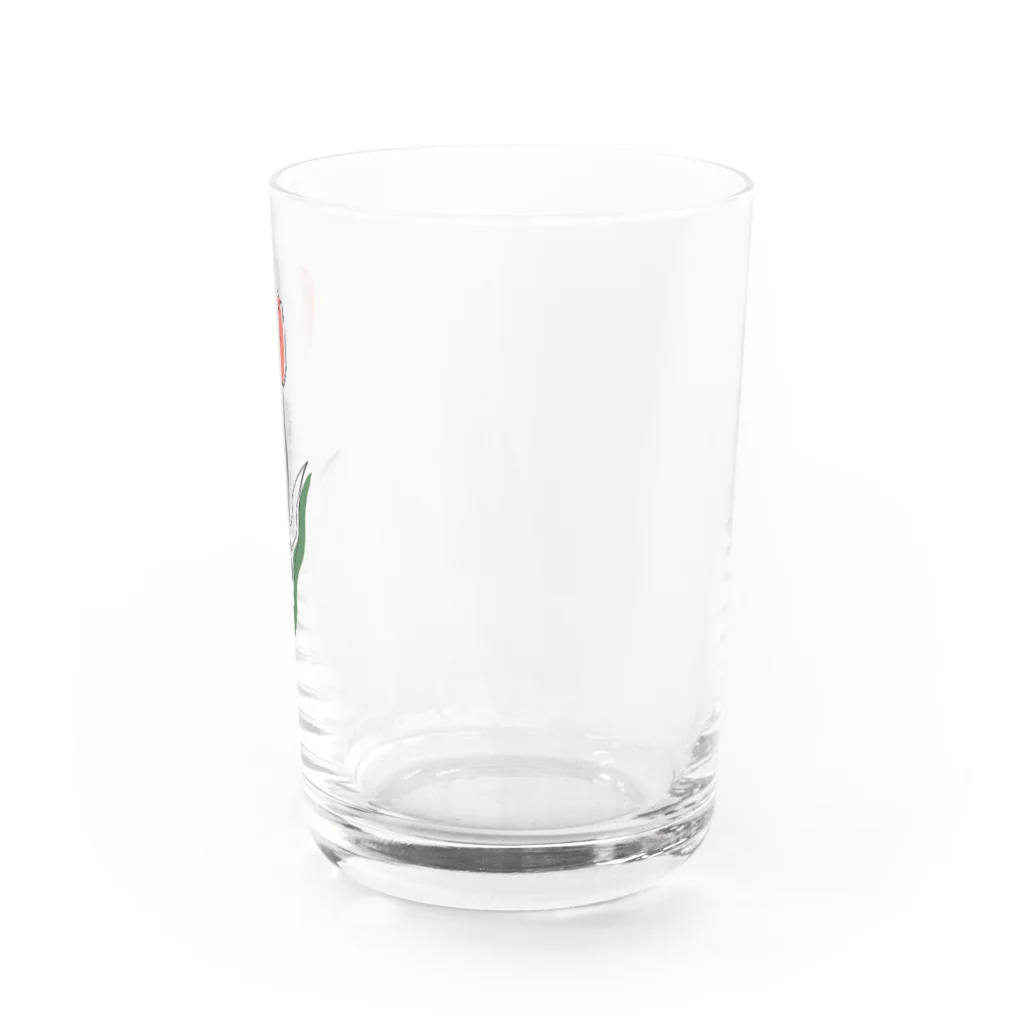 ampluieのtulip. Water Glass :right