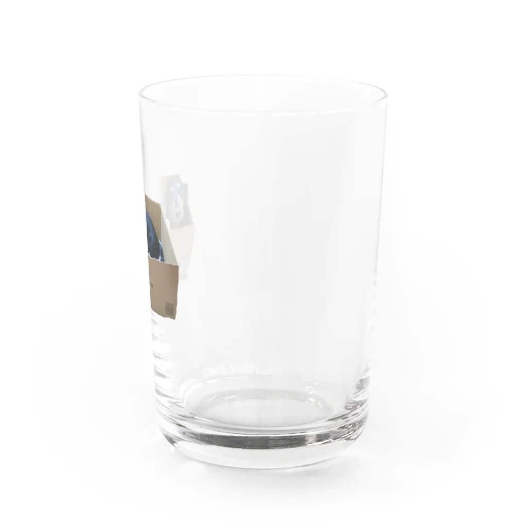 Flamingo Paradeの箱犬アマゾネス Water Glass :right