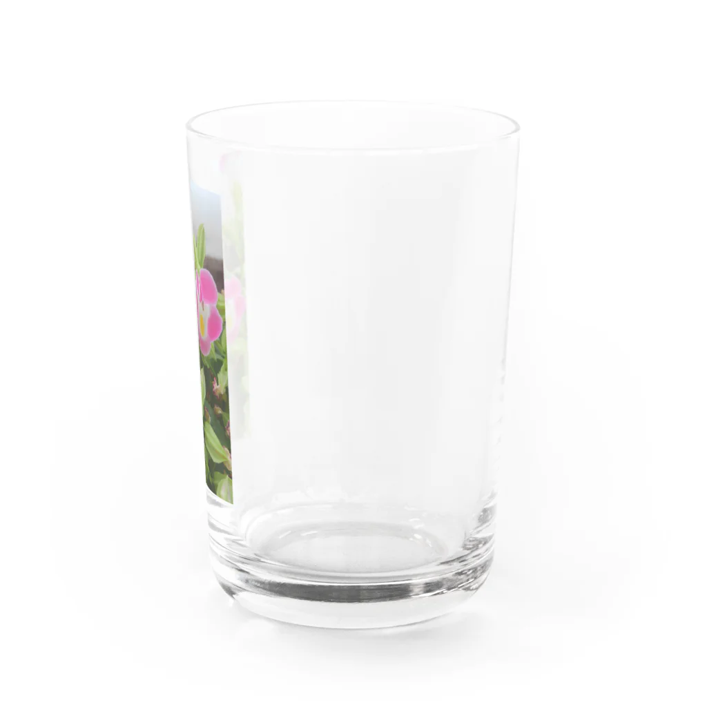 飼育係のFlower Water Glass :right