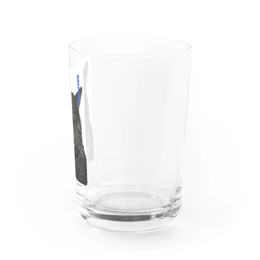 Chrisの猫舌さん用 Water Glass :right
