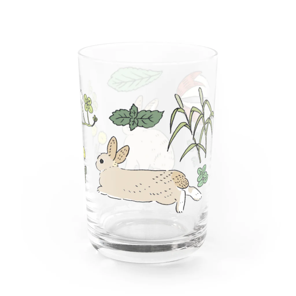 SCHINAKO'Sのチェスナットのうさぎさん Water Glass :right