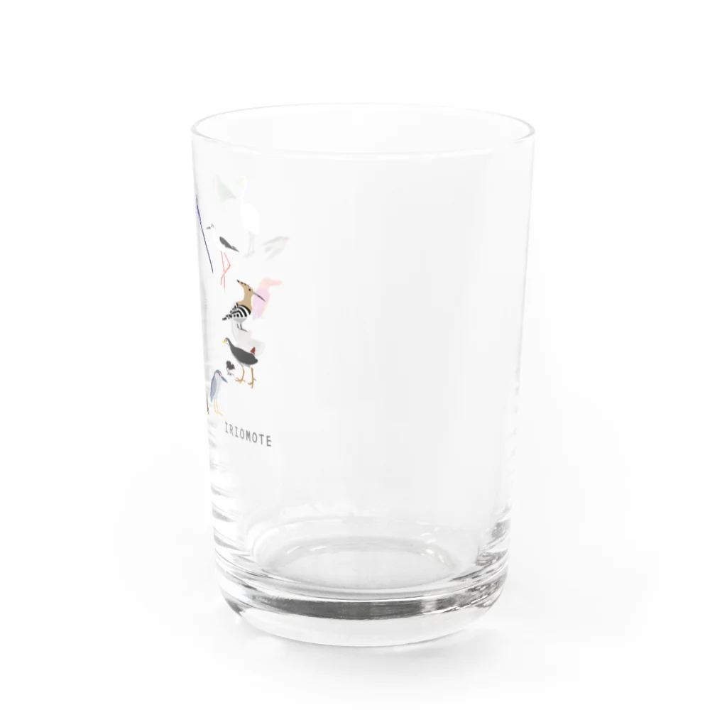 しまのなかまfromIRIOMOTEのしまのなかまスピンオフ『トリース』 （増量）文字が IRIOMOTEのみ Water Glass :right