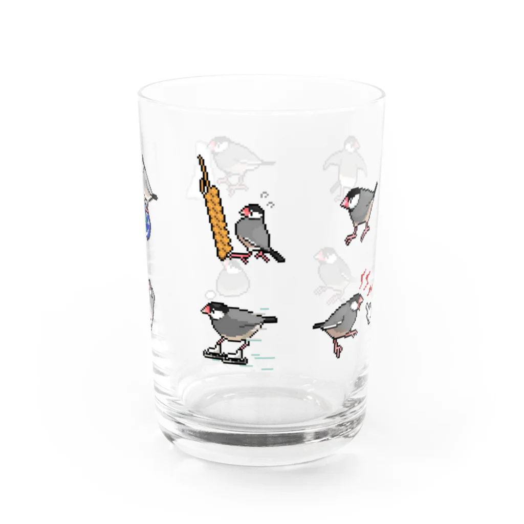 たかはらの桜文鳥が集合したよ Water Glass :right