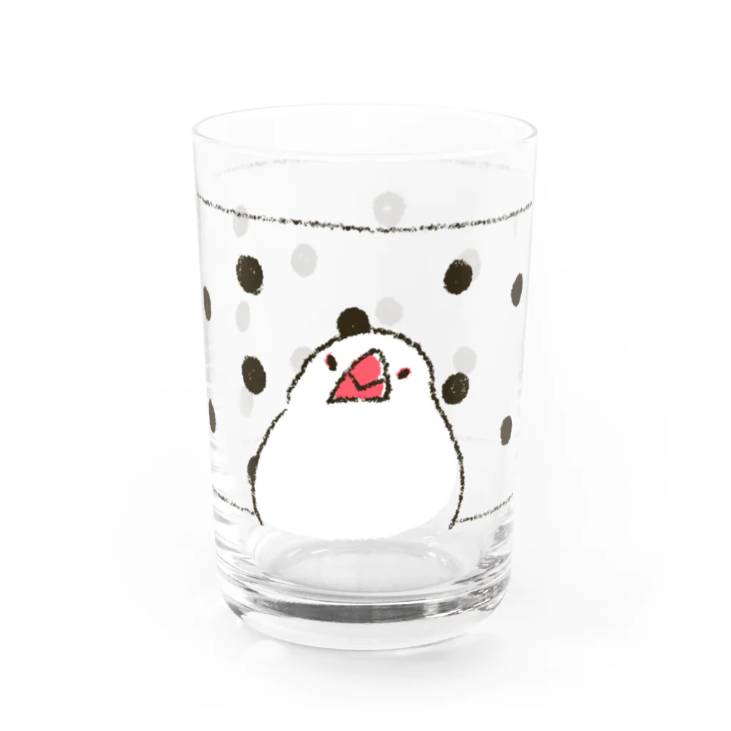 subacoのあの筒文鳥 Water Glass :right