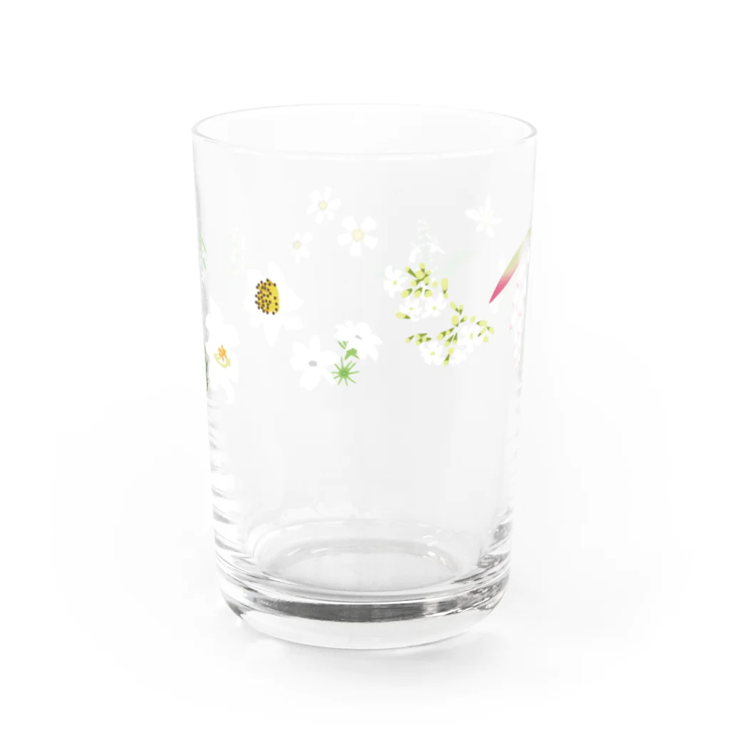 しまのなかまfromIRIOMOTEの西表島の白い花（11種） Water Glass :right