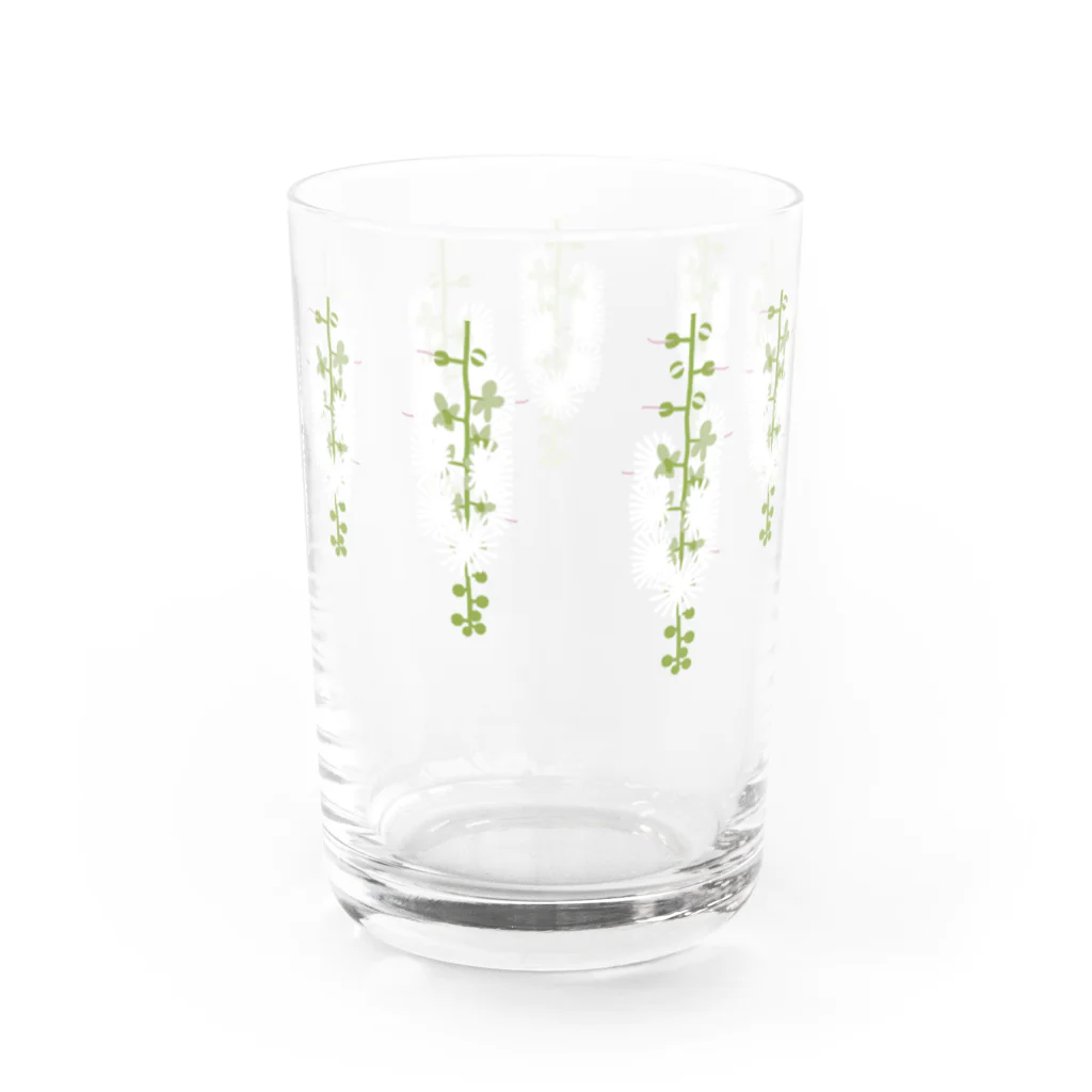 しまのなかまfromIRIOMOTEの西表島の白い花（サガリバナ） Water Glass :right