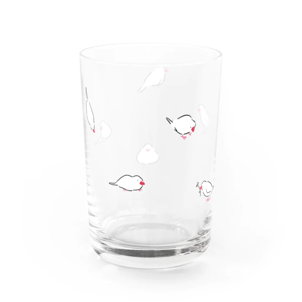 kfkxのシロブンチョウ Water Glass :right