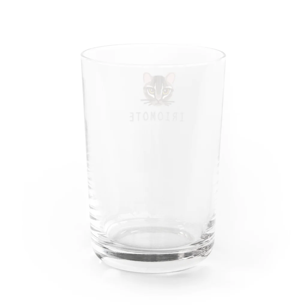 しまのなかまfromIRIOMOTEのIRIOMOTE イリオモテヤマネコ（顔） Water Glass :right