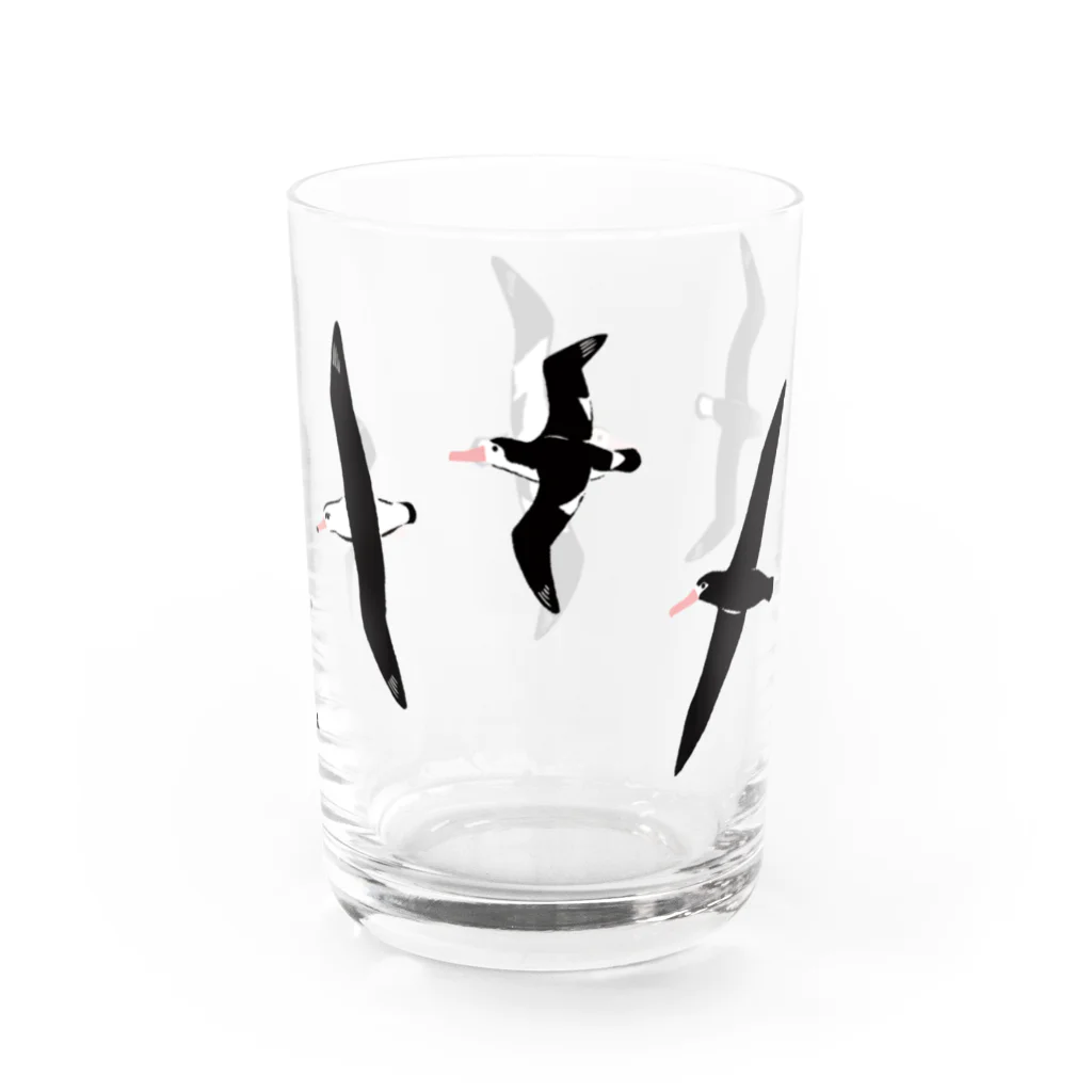 piro piro piccoloのアホウドリたち Water Glass :right